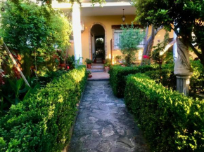 La Finca Mercedes, La Iruela